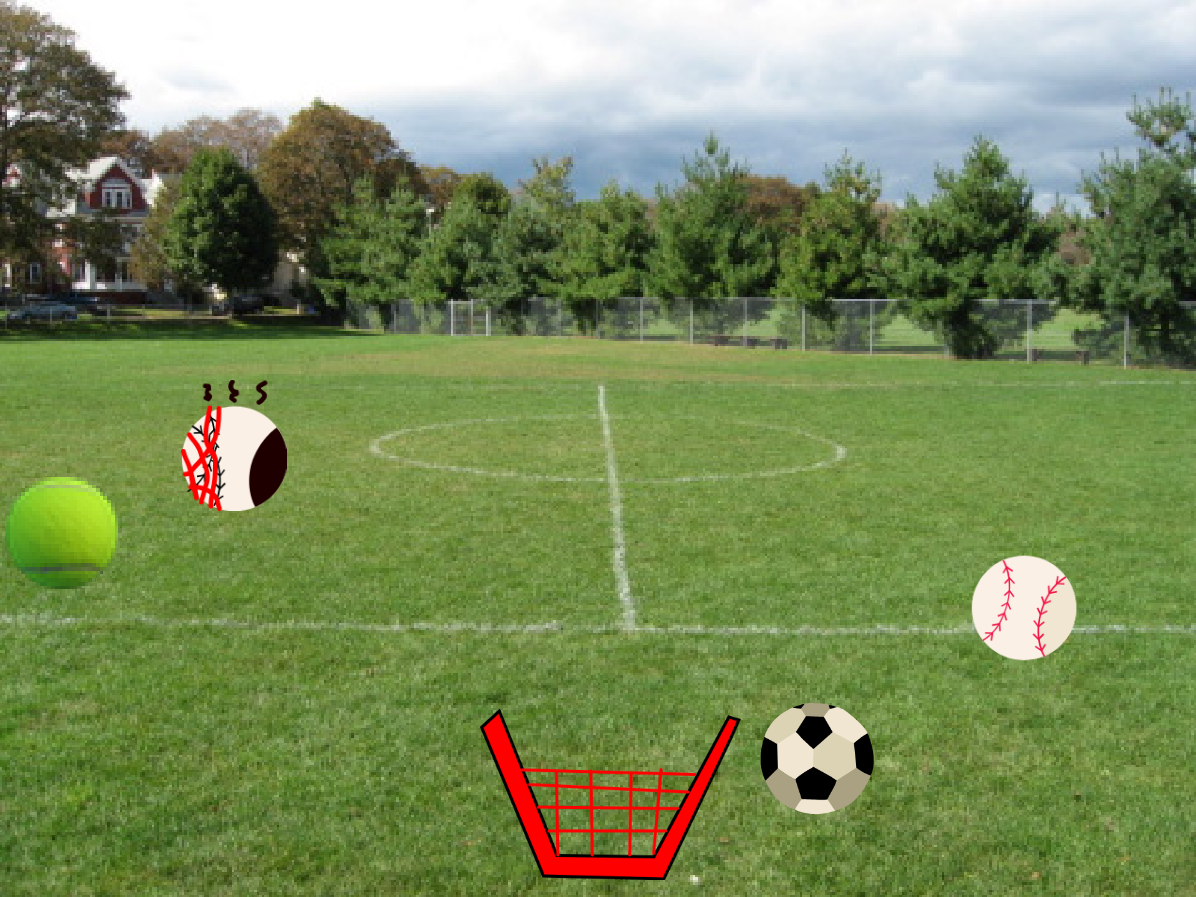 Ball Catcher